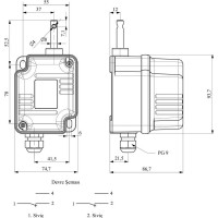 Поворотные концевые выключатели Emas IP67, 2 переключателя, 1/50. VT2050