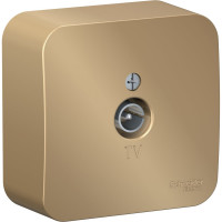 TV розетка Systeme Electric Blanca наруж Титан изолир. пластина SE BLNTA000014