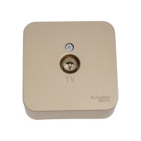 TV розетка Systeme Electric Blanca наруж Титан изолир. пластина SE BLNTA000014