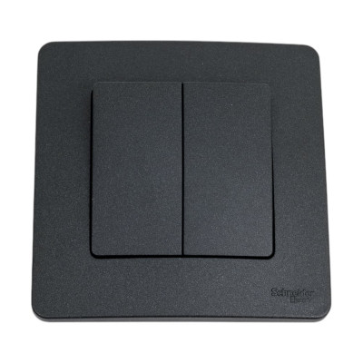 Переключатель Systeme Electric Blanca внутр Антрацит 2-клавишный, 10А, 250B SE BLNVS106606