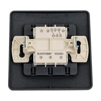 Переключатель Systeme Electric Blanca внутр Антрацит 2-клавишный, 10А, 250B SE BLNVS106606