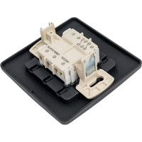 Переключатель Systeme Electric Blanca внутр Антрацит 2-клавишный, 10А, 250B SE BLNVS106606