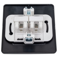 2-ая компьютерная розетка Systeme Electric Blanca с/у антрацит RJ45 BLNIS045456
