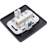 2-ая компьютерная розетка Systeme Electric Blanca с/у антрацит RJ45 BLNIS045456
