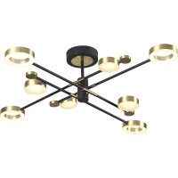 Потолочный светильник ODEON LIGHT LED 1*63W DENZEL 4321/63CL