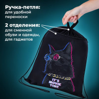 Мешок для обуви с петлёй BRAUBERG карман на молнии, полиэстер, 47x37 см, "Movie time", 270910