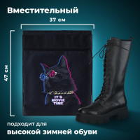 Мешок для обуви с петлёй BRAUBERG карман на молнии, полиэстер, 47x37 см, "Movie time", 270910