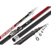 Поплавочное удилище с кольцами SALMO Diamond BOLOGNESE MEDIUM MF 6.00 2251-600