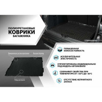 Коврик багажника Rival для Evolute i-PRO 2022- 10101002