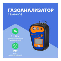 Газоанализатор Хромдет-Экология СЕАН-Н-O2 с поверкой СЕАН-Н-O2-СП