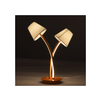 Настольная лампа MW LIGHT Аэлита 480033002