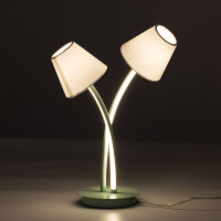Настольная лампа MW LIGHT Аэлита 480033302