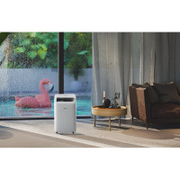 Мобильный кондиционер Hisense серия C AP-12CW4GQCS00