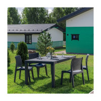 Обеденный комплект Royal Family JULY на 4 персоны 854-81