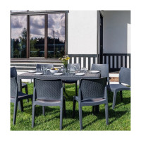 Обеденный комплект ROYAL FAMILY JULY L 858-81