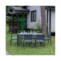 Обеденный комплект ROYAL FAMILY JULY M 856-81