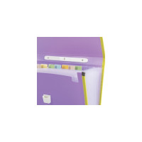 Пластиковая папка-портфель BRAUBERG JOY А4, 13 отделений, с окантовкой, фиолетовый 227977