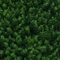 Искусственная изгородь INBLOOM 60x40 см Самшит высокий, полипропилен 172-031