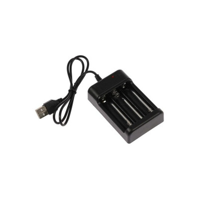 Зарядное устройство для трех аккумуляторов АА LUAZON UC-25 4057638