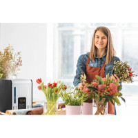 Увлажнитель Boneco S 450 (горячий пар) цвет: черный НС-1195154