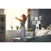 Увлажнитель Boneco S 450 (горячий пар) цвет: черный НС-1195154