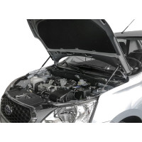 Газовые упоры капота АвтоУпор для Datsun mi-DO 2015-н.в./on-DO 2014-н.в., 2 шт UDAOND/MID012