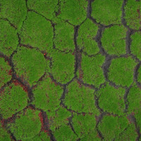 Искусственный декоративный мох Greengo полотно 1х1 м, рельефный, камни, зеленый на черном 5203162