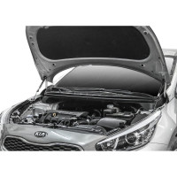 Газовые упоры капота АвтоУпор для Kia Ceed II 2012-2018, 2 шт., UKICEE012