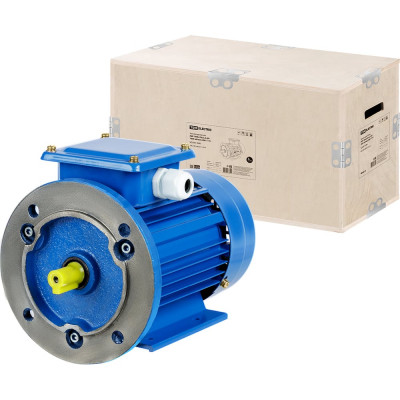 Электро двигатель TDM ELECTRIC АИР 100L6 2.2 квт, 1000 об/мин, 2081 SQ3001-0085