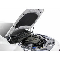 Газовые упоры капота АвтоУпор для Kia Cerato IV 2018-н.в., 2 шт., UKICER021