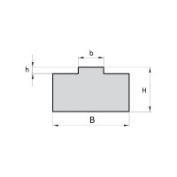 ISKRA Направляющая для цепи 06B-1 тип 1T H=10, ISKRA (13579) NC06b1T10-ISKRA