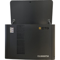 Электроагрегат газопоршневой CG18000SA в кожухе CTG 4687204619069