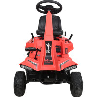 Райдер бензиновый Expert-bis R62L с фарой 263674