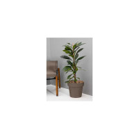 Кашпо Ola Dom LOFT пластик, 95 л, мокко, d590 cm, d590 cm, h520 мм 071238