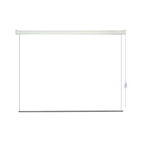 Экран с электроприводом Lumien LEC-100107 Eco Control 183x244 см, рабочая область 175x236 см, Matte White, черная кайма по периметру, 4:3 6 121562