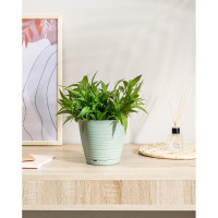 Горшок для цветов IDILAND Saffron диаметр 146 мм, 1.5 л с поддоном светло-зеленый 221610117/03