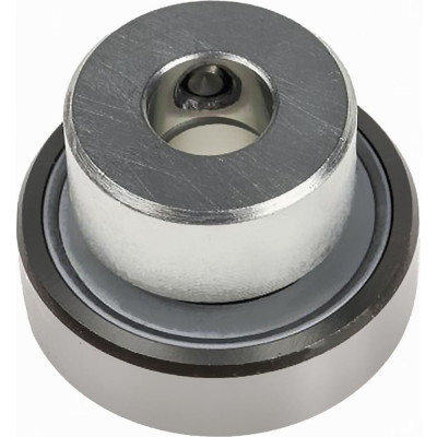 Подшипник NTI RAE 25 NPPB 00-00024052