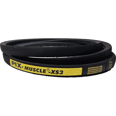 Клиновой узкий ремень PIX SPB 2600 Lw MUSCLE XS3 00-00037869