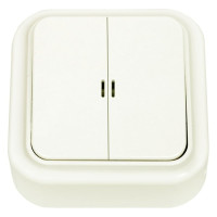 Выключатель Bylectrica 2-клавишная, открытая установка, 10А с подсветкой, серия ПРАЛЕСКА, бежевый А510-215