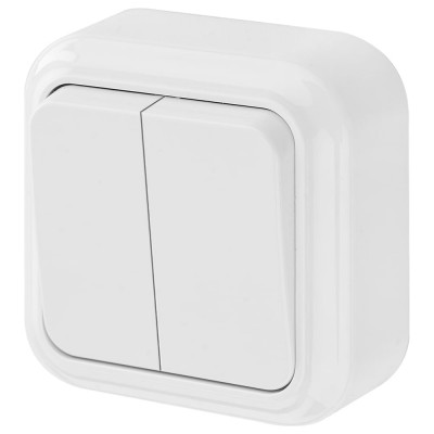 Выключатель Bylectrica 2-клавишная, открытая установка, 6 А, серия ПРАЛЕСКА, белый, А56-134