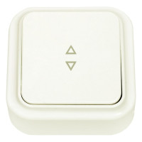 Выключатель Bylectrica 1-клавишный, открытая установка, 6А проходной, серия ПРАЛЕСКА, А610-147 бежевый