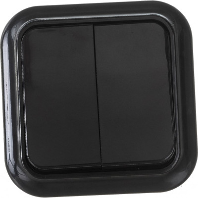 Выключатель Bylectrica 2-клавишная, открытая установка, 6 А, серия ПРАЛЕСКА, А56-134 черный