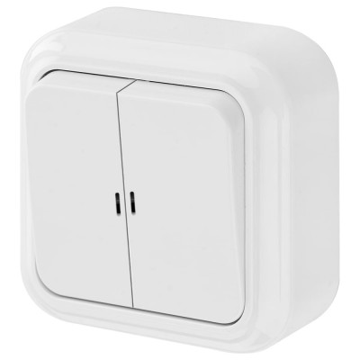 Выключатель Bylectrica 2-клавишная, открытая установка, 10А с подсветкой, серия ПРАЛЕСКА, белый, А510-215