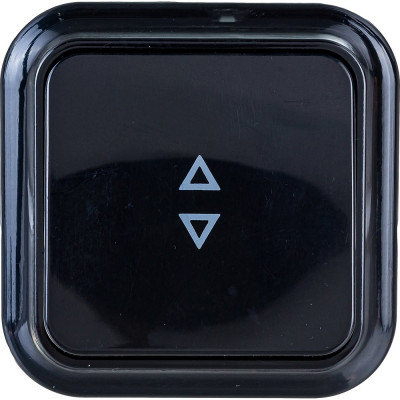 Выключатель Bylectrica 1-клавишный открытая установка, 6А проходной, серия ПРАЛЕСКА, А610-147 черный