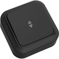 Выключатель Bylectrica 1-клавишный открытая установка, 6А проходной, серия ПРАЛЕСКА, А610-147 черный