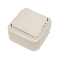 Выключатель Bylectrica 2-клавишная, открытая установка, 6А, IP54, серия ПРАЛЕСКА АКВА, А56-224 бежевый