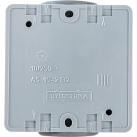 Выключатель Bylectrica 2-клавишная, открытая установка, IP55, серия ПРАЛЕСКА АКВА, А510-2132 03