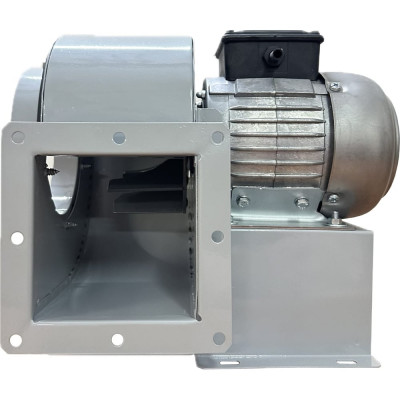 Вентилятор радиальный ERA BURAN PRO 140 220V Пр0 2 полюс PRO BURAN PRO 140 2K M R