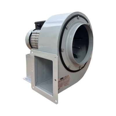 Вентилятор радиальный ERA BURAN PRO 200 220V Пр0 2 полюс PRO BURAN PRO 200 2K M R