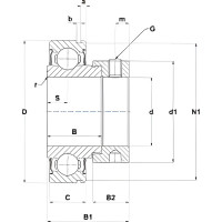 Подшипник DINROLL C-AEL205 2001000826476